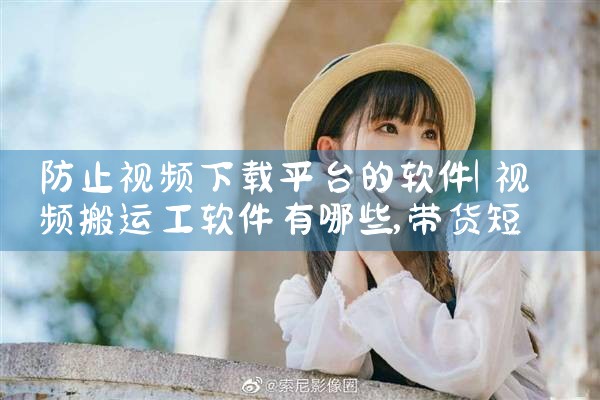 防止视频下载平台的软件