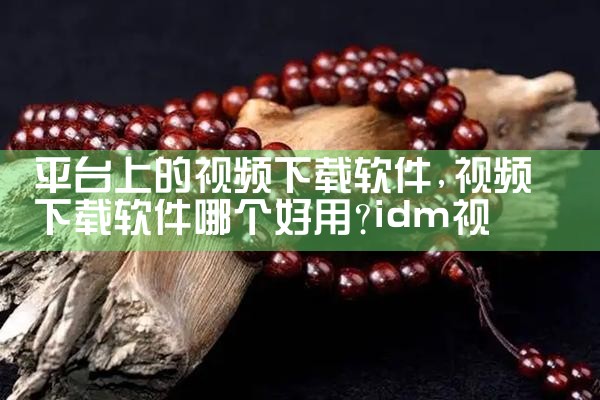 平台上的视频下载软件