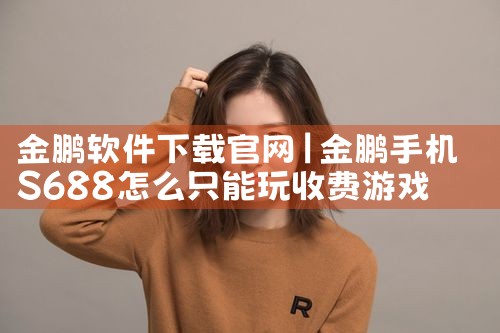 金鹏软件下载官网