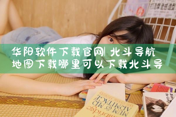 华阳软件下载官网