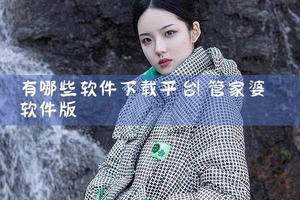 有哪些软件下载平台