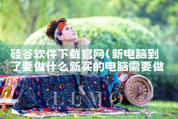 硅谷软件下载官网