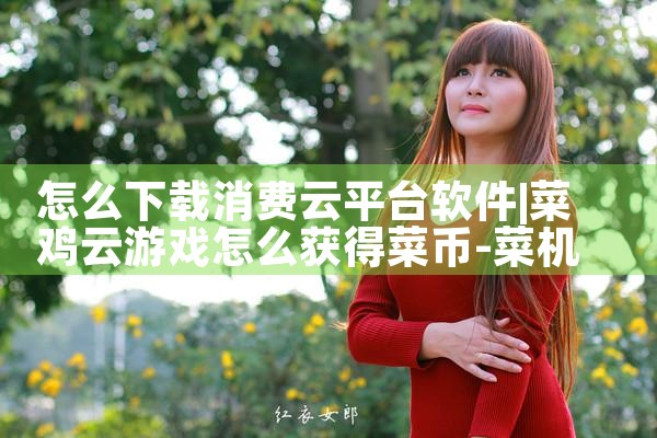 怎么下载消费云平台软件