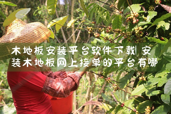 木地板安装平台软件下载