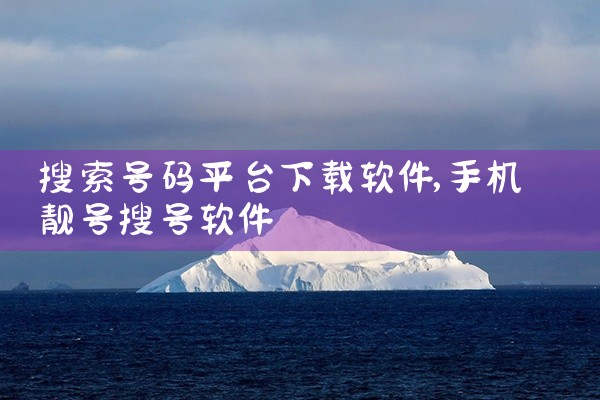搜索号码平台下载软件