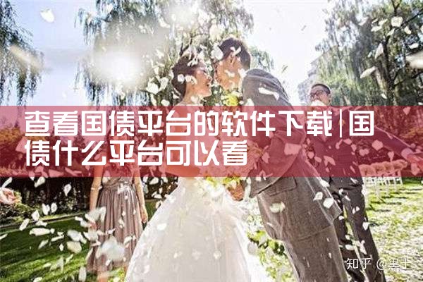 查看国债平台的软件下载