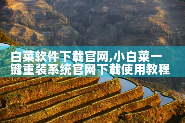 白菜软件下载官网