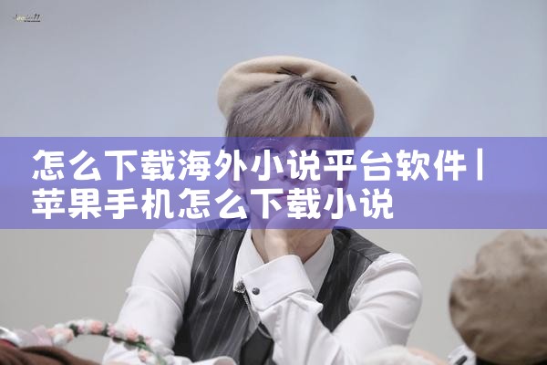 怎么下载海外小说平台软件
