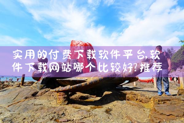 实用的付费下载软件平台